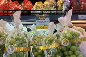 Trái cây Trung Quốc tràn ngập chợ, siêu thị 