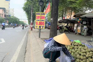 Vì sao cam sành Vĩnh Long tiếp tục rớt giá?