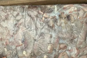 TP.HCM tạm giữ gần 25 tấn vú heo, dồi trường... bốn không