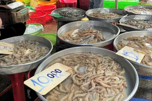 Giá thức ăn chăn nuôi quá cao, nhiều hộ phải 'treo ao, treo chuồng'