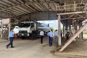 Năm 2023 TP.HCM xử phạt hơn 1,1 tỉ đồng vi phạm trong kinh doanh xăng dầu 