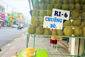 Xuất nhập khẩu năm 2024 dự báo khởi sắc 