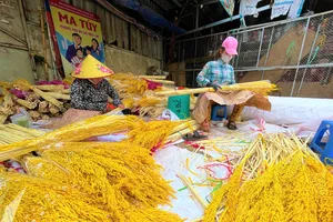 Tại chợ Đầm Sen những cây lúa nhiều màu sắc đang được đóng thành bó nửa kí để bán ra thị trường. ẢNH: TÚ UYÊN