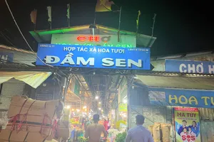 Cận tết chợ hoa sỉ tấp nập người mua bán