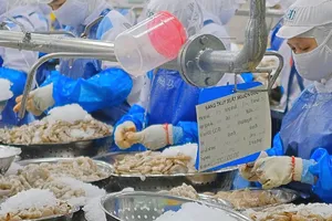 Mỹ kết luận sơ bộ điều tra chống trợ cấp tôm từ Việt Nam