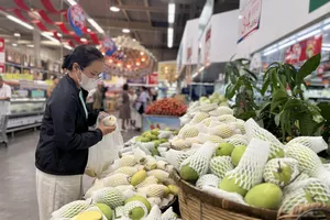 Xoài Đồng Tháp có loại giá chỉ còn 9.000 đồng/kg