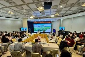 Gia Lai có tiềm năng phát triển chăn nuôi bò sữa