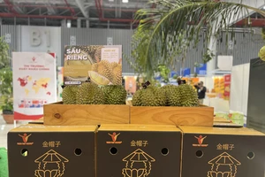 Sầu riêng Việt Nam quảng bá tại hội chợ. Ảnh: TÚ UYÊN