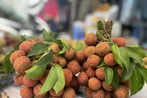 Vải thiều bày bán ở chợ với giá cao. Ảnh: TÚ UYÊN