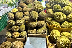 Sầu riêng bán chợ đầu mối Hóc Môn. Ảnh: TÚ UYÊN
