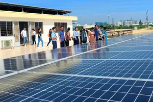 Thực hư nằm ngủ cũng có tiền nhờ bán tín chỉ carbon thu cả triệu USD