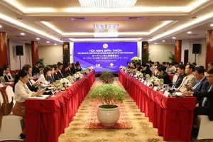 Khách phải 'xếp hàng rồng rắn' ở Tân Sơn Nhất: Doanh nghiệp Nhật kiến nghị cải thiện gấp