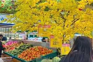 Nhiều siêu thị cam kết đảm bảo an toàn thực phẩm hàng hóa Tết