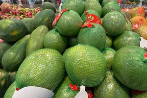 Đầu năm 2025 xuất khẩu rau quả bất ngờ giảm 