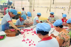 Đề xuất cấm thành lập doanh nghiệp có thời hạn một số đối tượng vi phạm về thuế