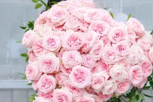 'Choáng' với đơn hàng 100 hoa hồng ngày Valentine