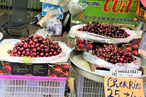 Vì sao cherry Chile giá rẻ ngập chợ Việt Nam?