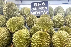 Lào, Indonesia tăng tốc trồng sầu riêng, xuất khẩu của Việt Nam gặp thách thức 