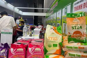 Bỏ tư duy 'không quản được thì cấm' trong kinh doanh xuất khẩu gạo