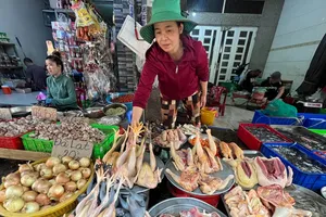 Đề xuất gỡ vướng về hóa đơn điện tử cho tiểu thương, hộ kinh doanh nhỏ lẻ