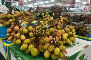 Chiếu xạ trái vải xuất khẩu gặp khó vì...cơ chế tài chính