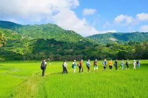 Đề xuất đưa tín chỉ carbon trong nông nghiệp lên sàn giao dịch 