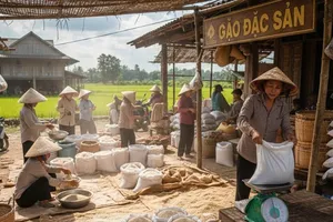 Philippines tiếp tục là đối tác nhập khẩu gạo lớn nhất của Việt Nam