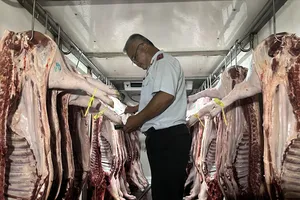 TP.HCM trình phương án thí điểm Sàn Giao dịch thịt heo