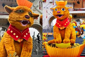 Bị chê mặt ngáo ngơ, mèo Suối Tiên 'lột xác' khiến dân mạng trầm trồ