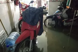 Triều cường làm vỡ bờ bao, quận 8 ngập trong nước