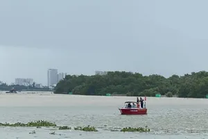 Đang đi xe máy, nam thanh niên xuống xe nhảy cầu Phú Mỹ