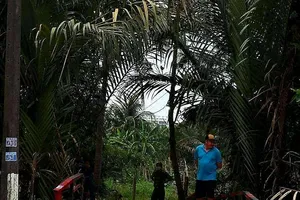 Lực lượng chức năng khám nghiệm hiện trường vụ việc. Ảnh: CM