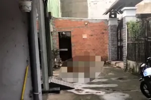 Người dân phát hiện vật nghi đầu người và phần thi thể cách đó không xa ở quận 7