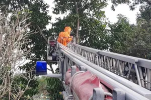 Cảnh sát PCCC TP Thủ Đức xử lý 10 tổ ong vò vẽ sát nhà dân