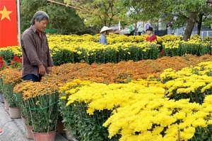 TP Thủ Đức có 5 điểm tổ chức chợ hoa tết
