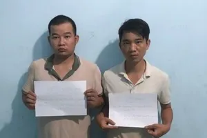 Làm thêm chìa khóa, gắn thêm định vị của chiếc ô tô thuê để sau đó lấy trộm 