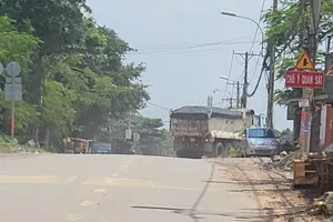 Thủ Đức xử phạt các tài xế xe ben đi vào đường cấm mà Pháp Luật TP.HCM phản ánh