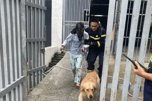 Cảnh sát kịp cứu 1 phụ nữ và con chó trong đám cháy nhà cao tầng ở Thủ Đức