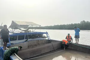 800m3 cát bí ẩn trên 3 chiếc tàu ở biển Cần Giờ