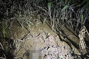 Căn cước công dân bên cạnh bộ xương người ở Thủ Đức không phải của nạn nhân