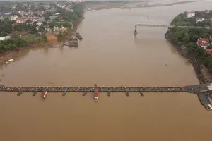 Nước sông Hồng lên nhanh, sẽ có phương án cắt cầu phao Phong Châu