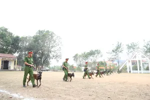 Nơi huấn luyện 'chiến binh 4 chân' đặc biệt trong phòng chống tội phạm