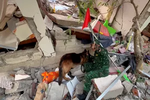 Video: Khoảnh khắc chó nghiệp vụ của Biên phòng phát hiện nạn nhân đầu tiên