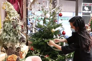 Video: Nhiều người chi hàng trăm triệu đồng để sở hữu cây thông tươi