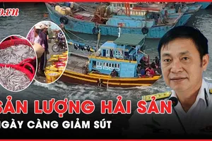 Lực lượng hải quân tham mưu giải pháp kiểm soát đánh bắt trái phép
