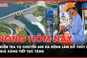 Nóng hôm nay: Bộ NN&PTNT vào Bình Thuận kiểm tra vụ chuyển hơn 600 ha rừng làm hồ thuỷ lợi