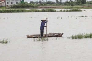 Video: Người dân Long An ngóng chờ con nước nổi