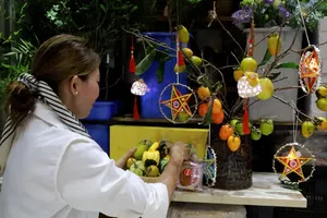 Video: Thú chơi cành hồng trĩu quả mùa Trung thu