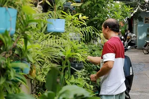 Video: ‘Sống xanh’ từ việc tận dụng rác thải nhựa