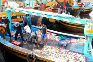 Video: Bình Thuận phát triển kinh tế biển gắn với bảo vệ môi trường 